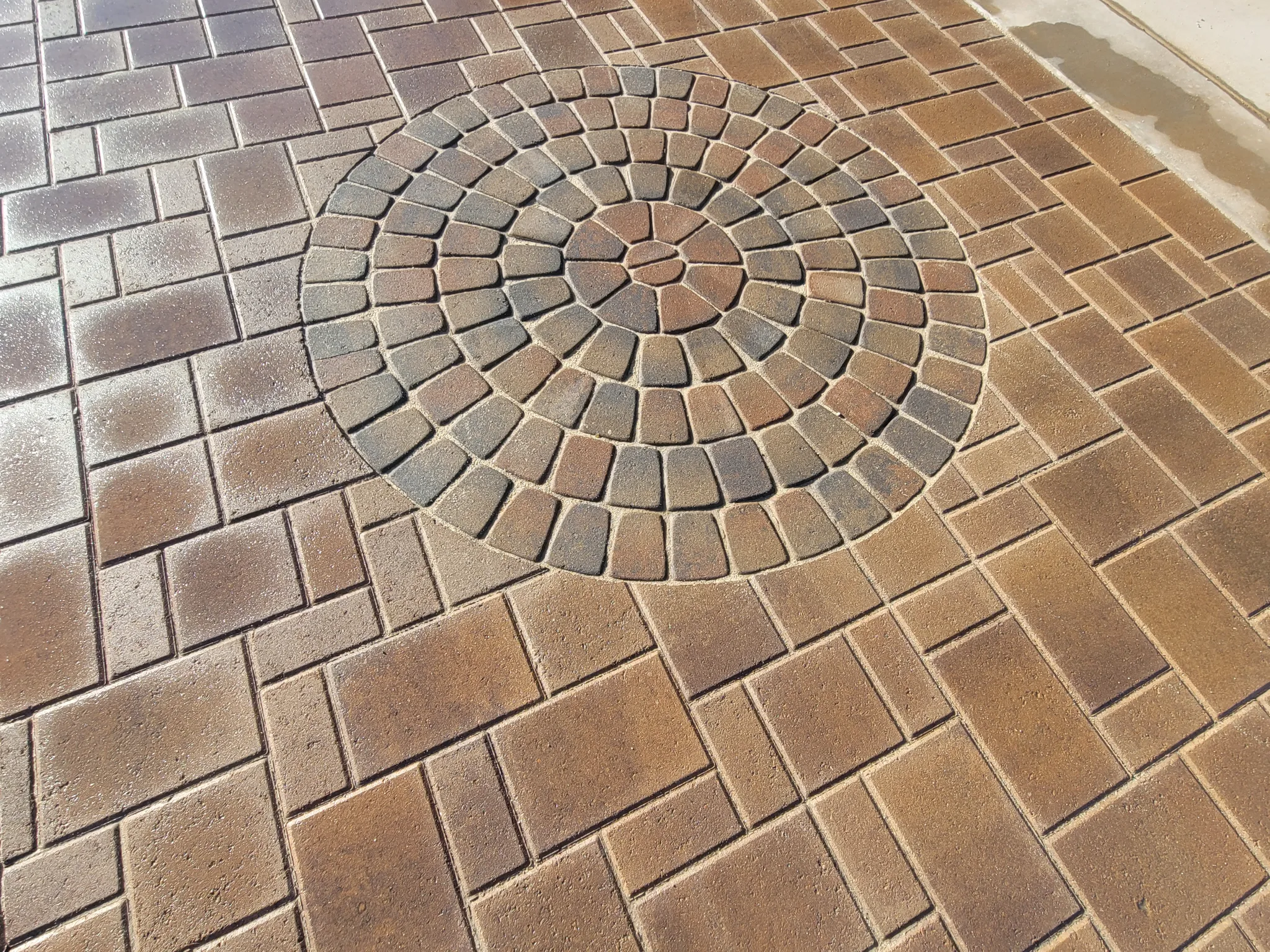 Outdoor Living project
